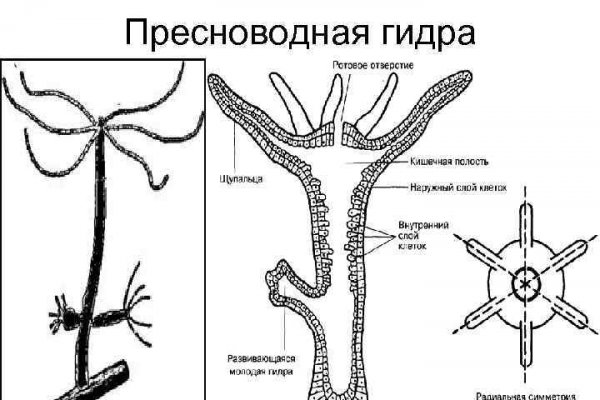 Кракен действующая ссылка