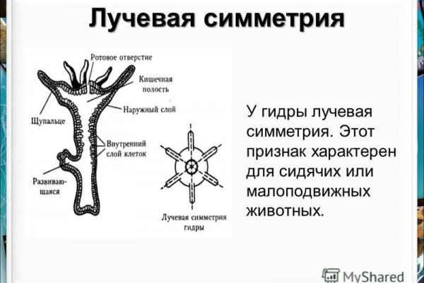 Кракен 12 at